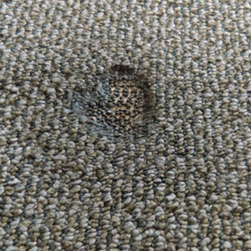 Carpet Burn Repair