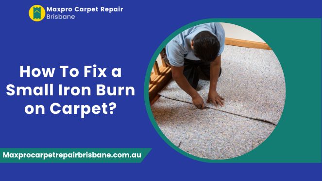 Small Iron Burn on Carpet